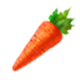 HWDE Carrot Food Icon.png