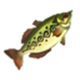 HWDE Hyrule Bass Food Icon.png